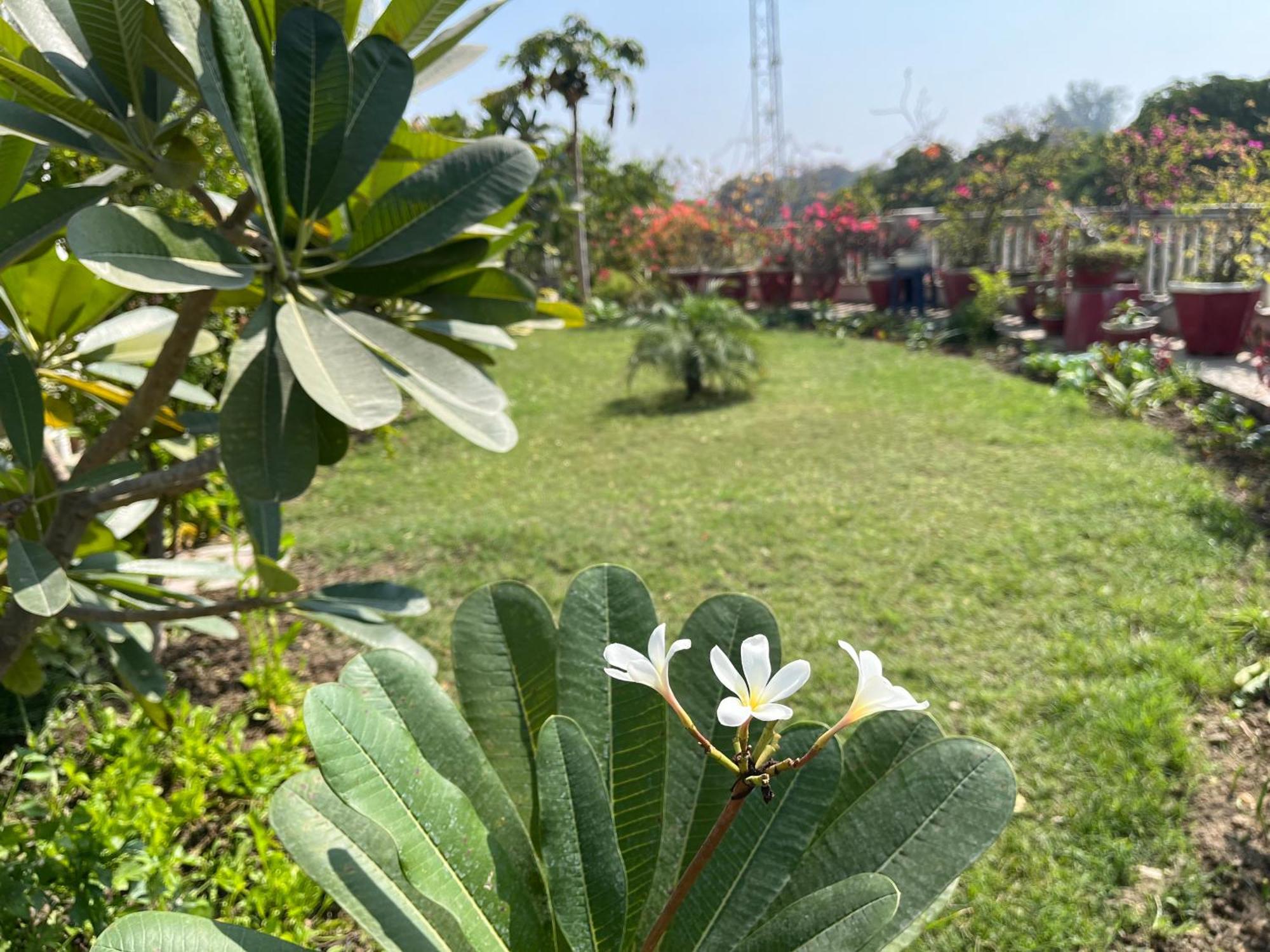 Hotel Mulberry Garden Varanasi Esterno foto