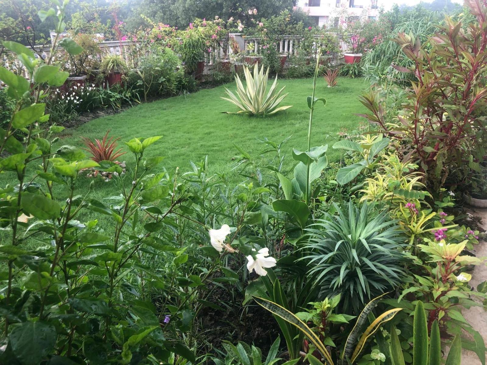 Hotel Mulberry Garden Varanasi Esterno foto
